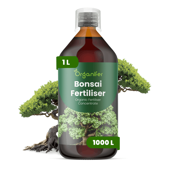 Organifer Bonsai Dünger, 1 Liter organisches Flüssigdünger-Konzentrat, ergibt bis zu 1000 Liter Düngerlösung.