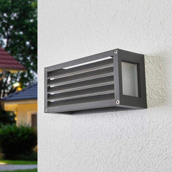 Olivenbaum im Topf vor Hauswand und Büschen