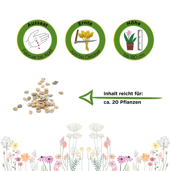 Aussaat Februar bis April, Ernte Juni bis Oktober, Wuchshöhe bis 180 Zentimeter, Samen ausreichend für circa 20 Pflanzen.