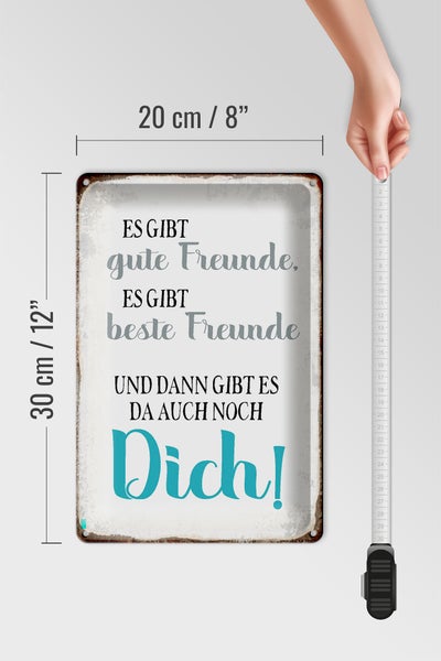 Blechschild Spruch 20x30cm gibt gute Freunde auch noch Dich
