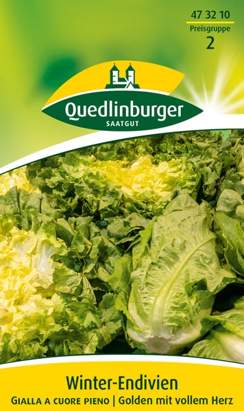 Winterendivien Gialla a cuore Samen von Quedlinburger SAATGUT
