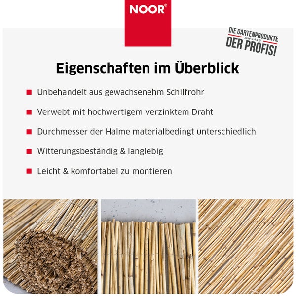 Noor Schilfrohrmatte als Sichtschutz für den Garten mit Eigenschaften wie witterungsbeständig und einfach zu montieren.
