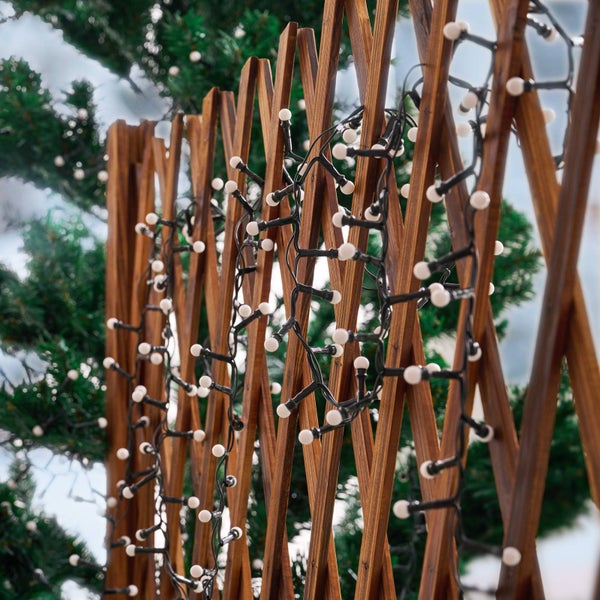 LED-Lichterkette mit runden Lampen, drapiert über ein braunes Holzspalier vor immergrünen Pflanzen im Außenbereich.