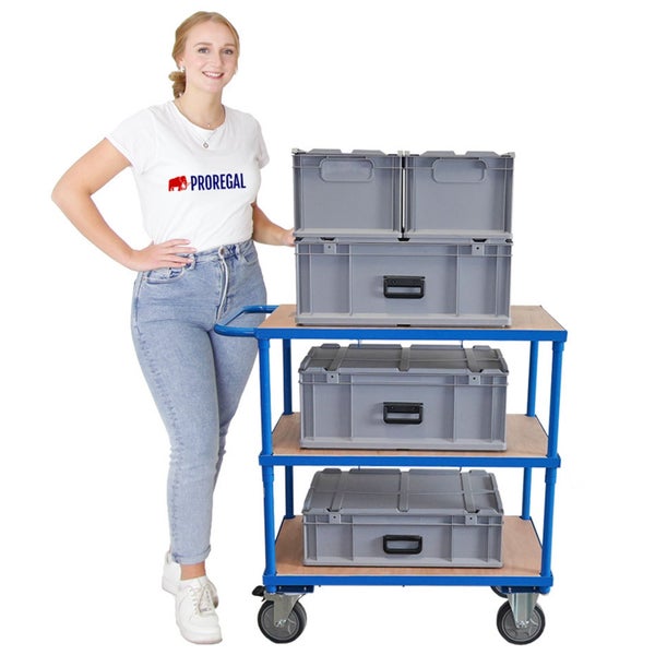 Transportwagen mit grauen Euroboxen