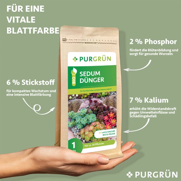 Purgrün Bio-Sedum-Dünger 1 kg