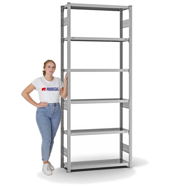 PROREGAL Fachbodenregal Stecksystem T-Profil Heavy-Duty Grundregal HxBxT 250 x 100 x 30 cm 6 Ebenen Fachlast 300 kg Beidseitig Nutzbar Verzinkt