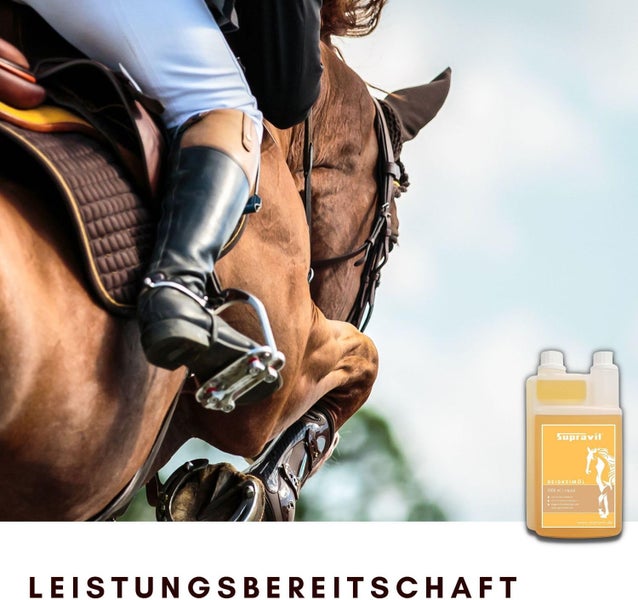 Reitpferd springt über Hindernis mit Ergänzungsfuttermittel