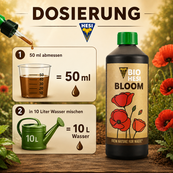 Anwendungshinweise und Dosierung für Bio Hesi Bloom Pflanzendünger mit Messbecher und Gießkanne Illustration.