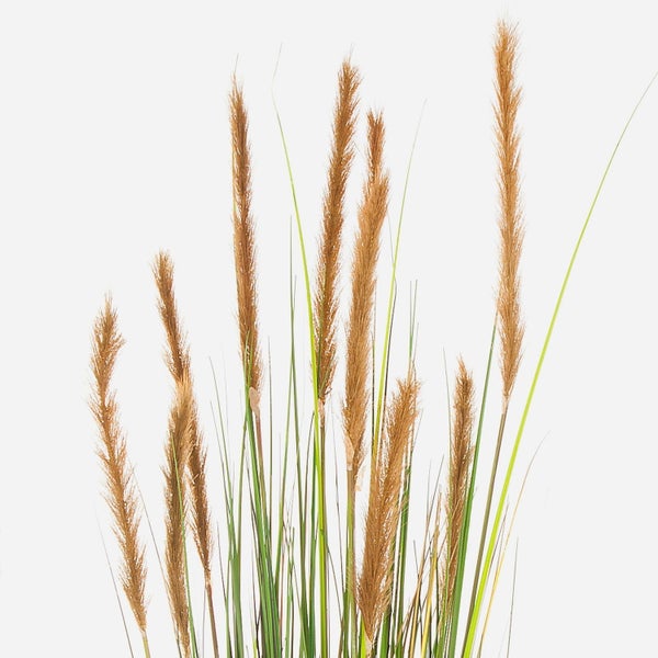 Künstliches Ziergras mit braunen Wedeln und grünen Halmen.