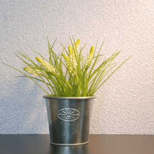 Floxxan Baumwollputz Colorado 101 Baumwolle - Farbe Weiß Putz Tapete Flüssigtapete 1Kg