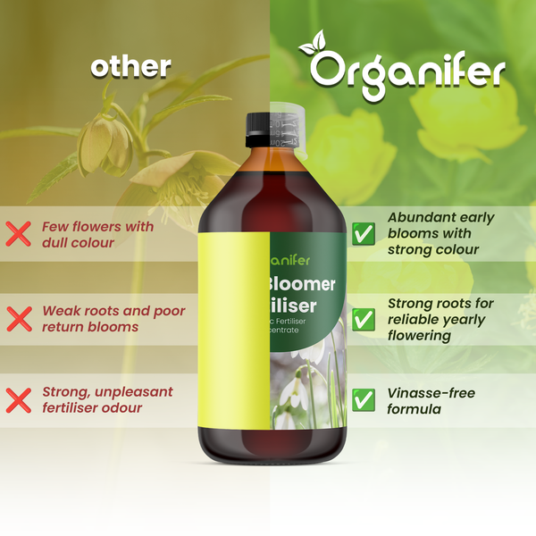 Organifer Logo und Vergleich von Organifer Bloomer Flüssigdünger mit Vorteilen wie reiche Blüte und starke Wurzeln gegenüber anderen Produkten.