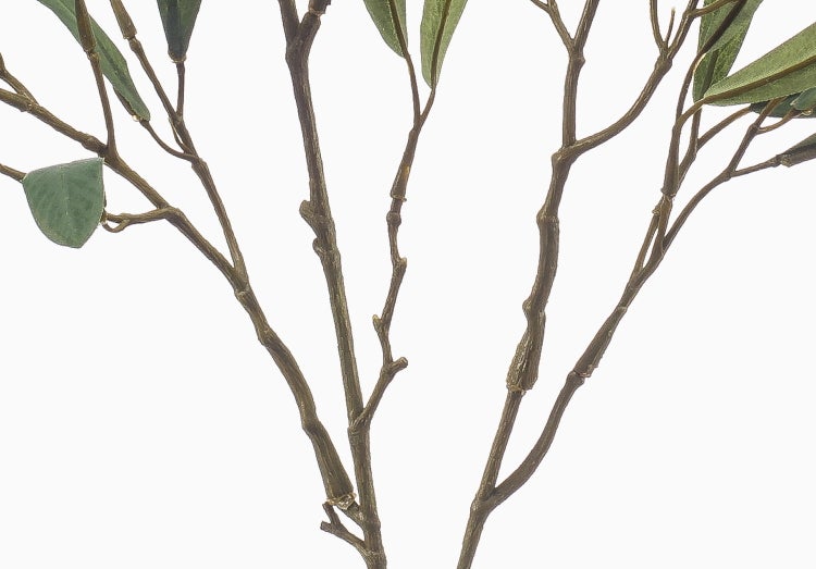 Nahaufnahme eines künstlichen Olivenzweigs mit strukturierten braunen Stielen und grünen Blättern.