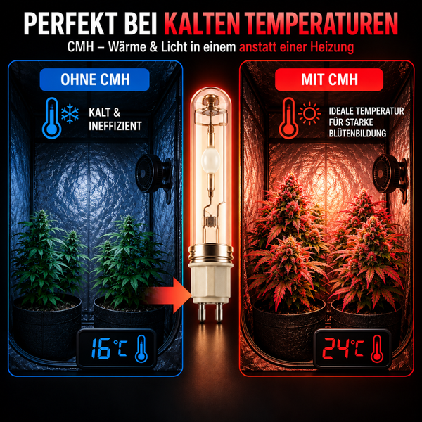 Infografik zum Vergleich von CMH Leuchtmitteln in der Pflanzenzucht, zeigt verbesserte Temperaturen und Pflanzenwachstum im Vergleich ohne CMH.