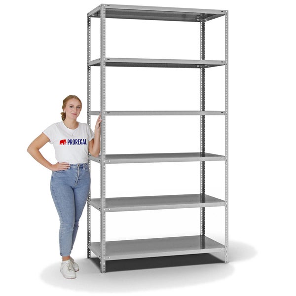 PROREGAL Fachbodenregal Schraubsystem Light-Duty Grundregal HxBxT 250 x 130 x 60 cm 6 Ebenen Fachlast 125 kg Beidseitig Nutzbar Verzinkt