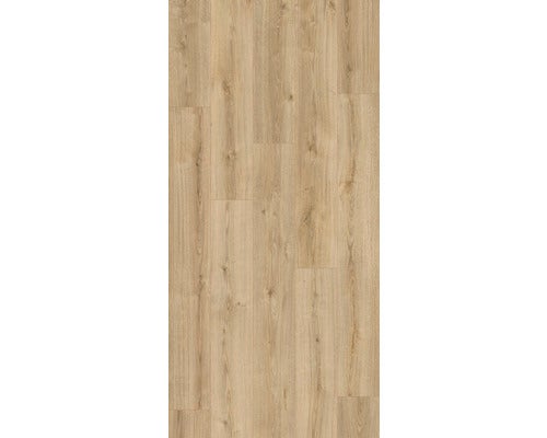 Laminat 8.0 Oak Evoke Classic