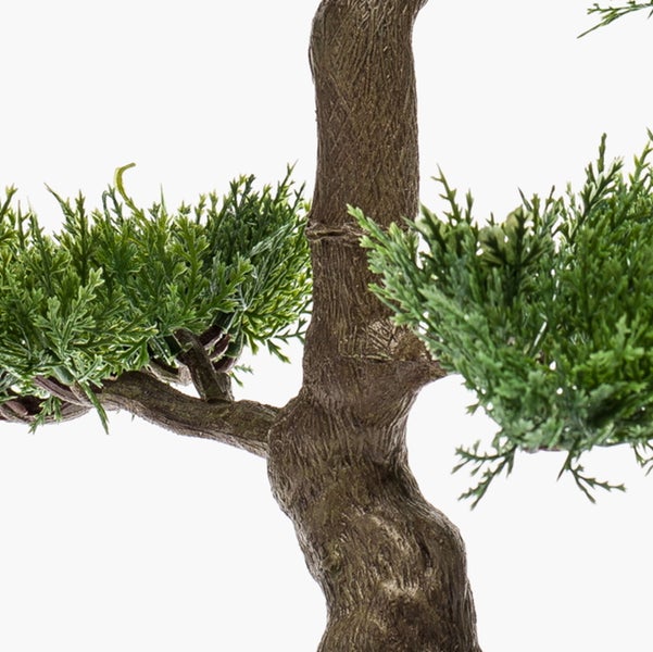 Nahaufnahme eines glänzend schwarzen runden Pflanztopfs mit Dekosteinen und dem Ansatz eines strukturierten Pflanzenstamms.