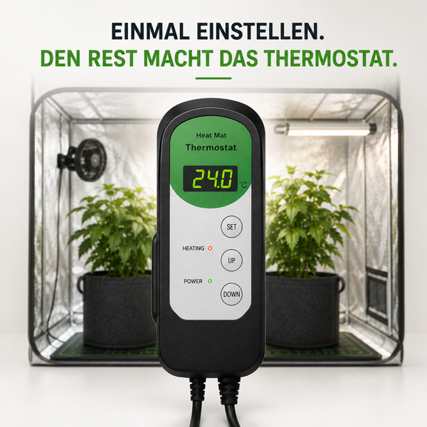 Digitaler Thermostatregler für Heizmatten vor einem Pflanzenzelt mit zwei Pflanzen in Textiltöpfen.