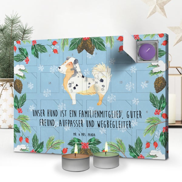 Mr. & Mrs. Panda Duftkerzen Adventskalender Hund Australien Shepherd - Blau Pastell