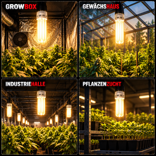 Vier Anwendungsbeispiele für eine Pflanzenlampe in Growbox, Gewächshaus, Industriehalle und Pflanzenzucht mit hellem, warmem Licht.