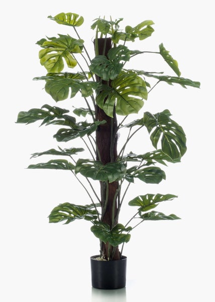 Künstliche Monstera Pflanze mit grünen Blättern und Moosstab.