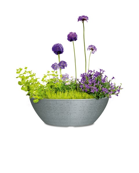 Scheurich Barceo Bowl 40, Pflanzschale/Blumentopf/Pflanzenschale, rund,  aus Kunststoff Farbe: Stony Grey, 39 cm Durchmesser, 18 cm hoch, 14,5 l Vol.