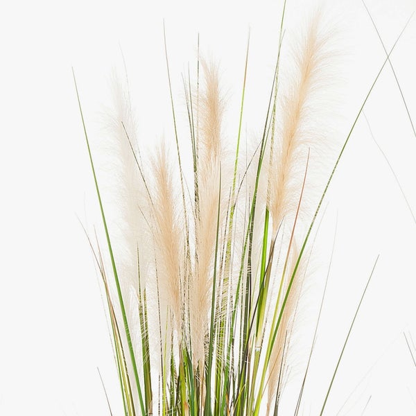 Drei künstliche Pampasgräser in verschiedenen Höhen in schwarzen Töpfen mit grünen Halmen und hellen Blütenwedeln.