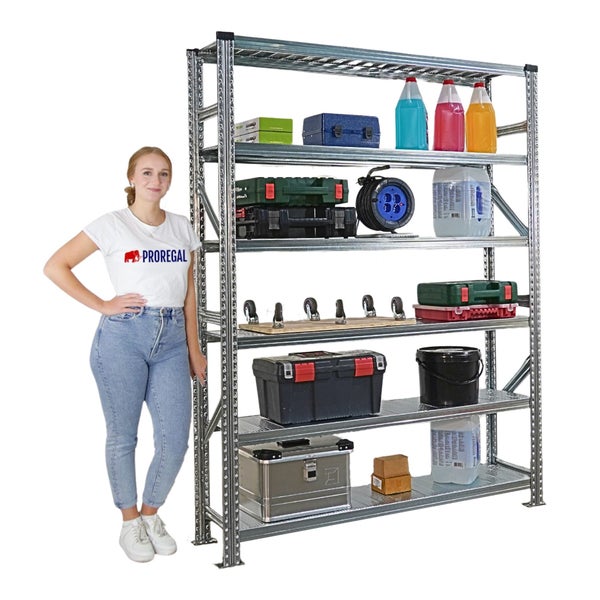 Regal mit Werkzeugkisten, Reinigungsflüssigkeiten und einer Frau