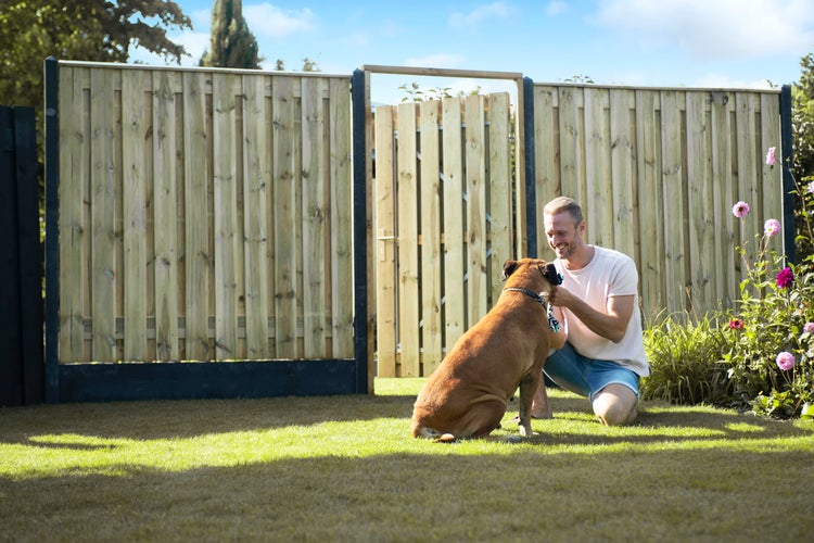 Gartenszene mit Holzzaun und Mann, der mit einem Hund auf dem Rasen spielt