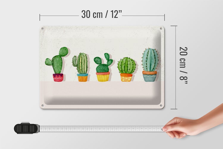 Blechschild Spruch 5 Kakteen Blumentopf Kaktus 30x20cm