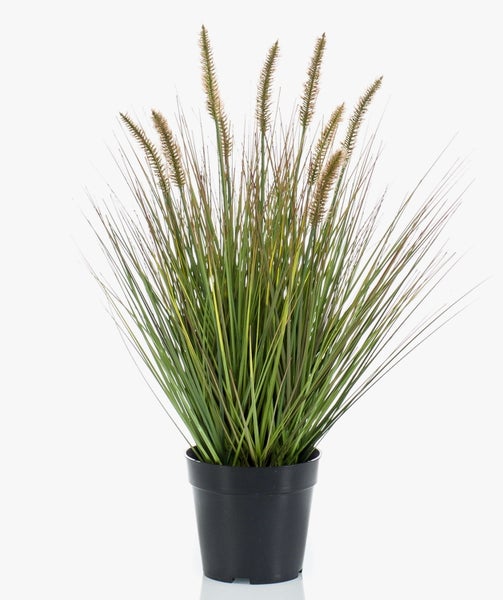 Künstliche Graspflanze in einem schwarzen Topf mit federartigen Samenständen.
