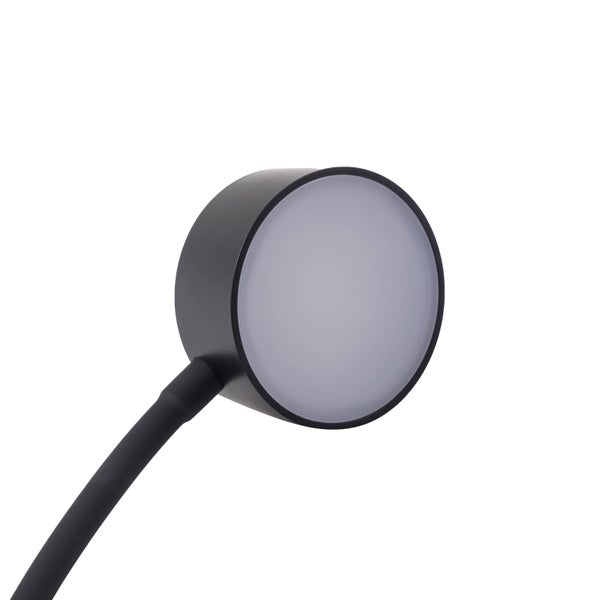 Runder, schwarzer Lampenkopf mit matter Diffusorscheibe.