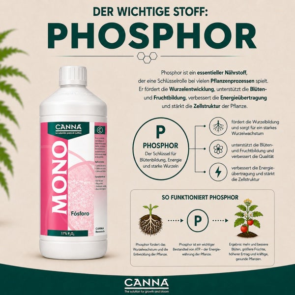 Canna Mono Phosphor Pflanzendünger Flasche mit Infografik über Wirkungsweise und Vorteile des Nährstoffs für Wurzelwachstum und Blütenbildung.