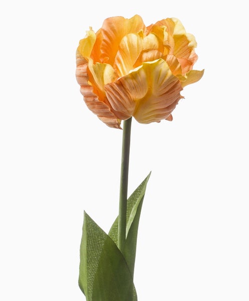 Künstliche Papageientulpe in Orange-Gelb mit grünem Stiel und Blatt.