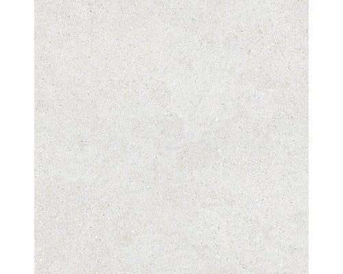 Feinsteinzeug Wand- und Bodenfliese Sassi Blanco 60X60 cm