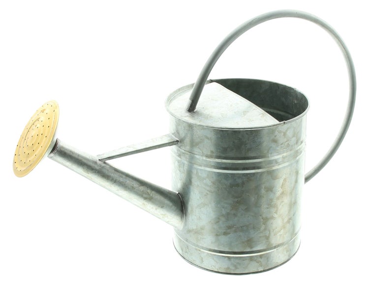FRANK FLECHTWAREN | Dekogießkanne Silver, METALL, 47 x 20 x 32 cm