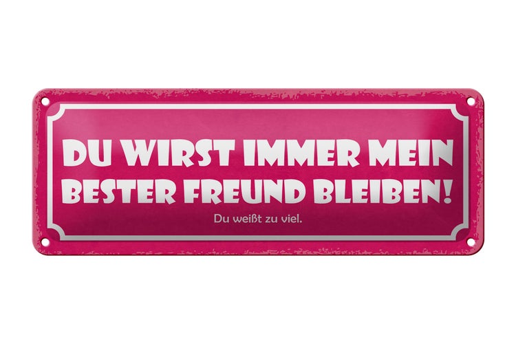 Blechschild Spruch 27x10cm du immer mein bester Freund Dekoration