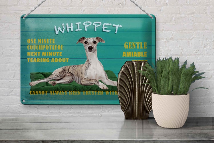 Blechschild Spruch 30x20cm Whippet Hund gentle amiable