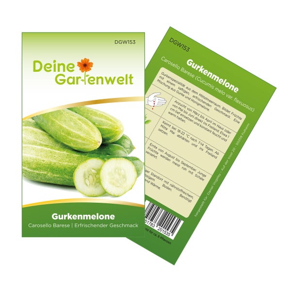 Melonengurke Carosello Barese Samen von Deine Gartenwelt