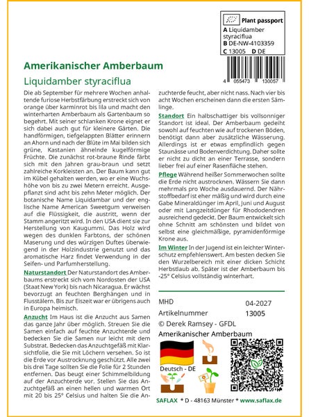 SAFLAX  - Amerikanischer Amberbaum - Liquidamber styraciflua - 100 Samen