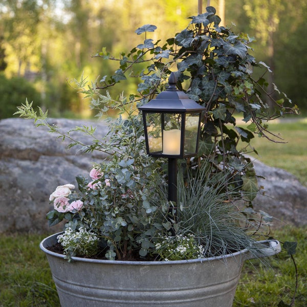 Dekorative Zinkwanne bepflanzt mit Rosen, Efeu, Gräsern und einer schwarzen Gartenlaterne mit Kerze
