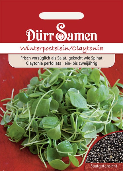 Deine Gartenwelt Samentüte Palmkohl Nero di Toscana mit Anzuchtanleitung auf der Rückseite.