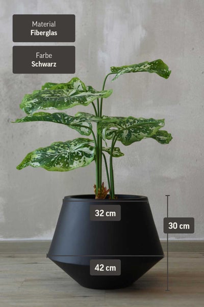 Schwarzer Pflanzkübel aus Fiberglas mit Pflanze, Höhe 30 Zentimeter, Breite 42 Zentimeter, Öffnungsdurchmesser 32 Zentimeter.