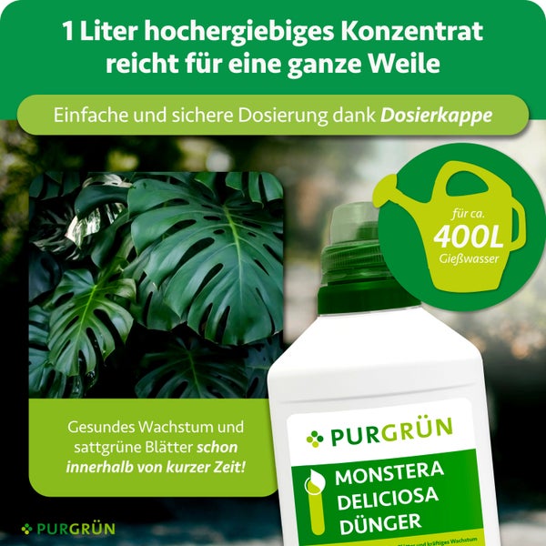 Purgrün Monstera Deliciosa Dünger, 1 Liter Konzentrat für circa 400 Liter Wasser, Flasche mit Dosierkappe neben Monstera-Blättern, Purgrün Logo.