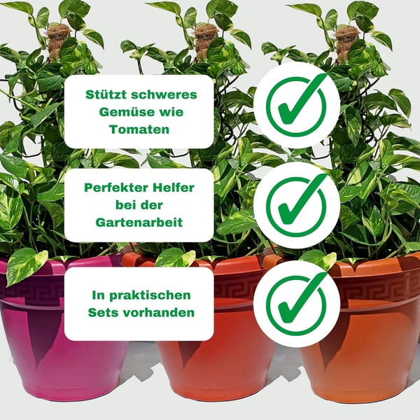 Kokos-Rankstäbe im Set als Pflanzenstütze für Kletterpflanzen und schweres Gemüse, dargestellt in Pflanztöpfen mit Bestätigung der Produktvorteile.