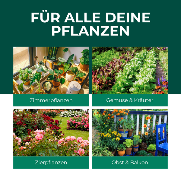 Übersichtsbild für verschiedene Pflanzentypen wie Zimmerpflanzen, Gemüse, Kräuter, Zierpflanzen und Obstbepflanzung für Balkon und Garten.