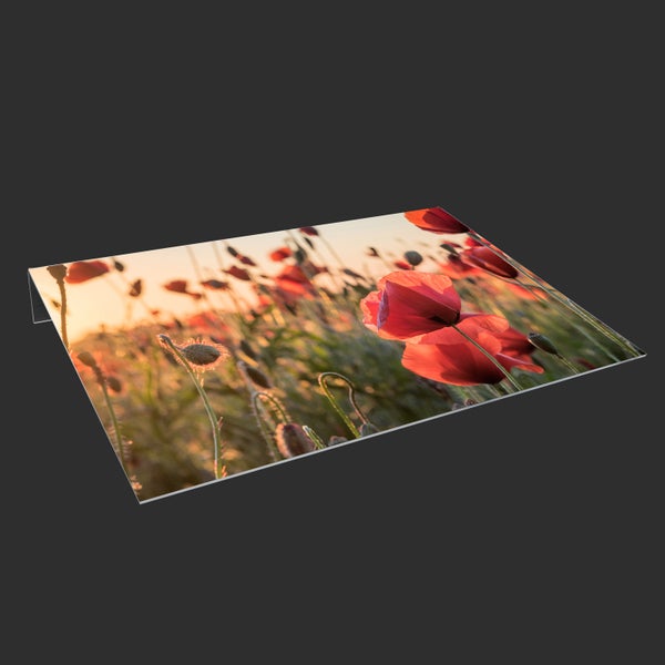 Lichtschachtabdeckung aus Acryl | Kellerschacht-Abdeckung | Schneeschutz | Regenschutz | Schutz gegen Schmutz, Schimmel, Laub und Schnee | Mohnblumen | Feld | Pflanzen | Dekorativ mit Motiv 120x45 cm