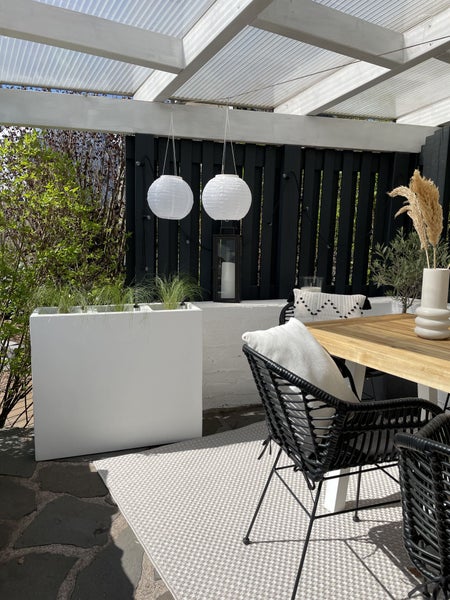 Modernes Wohnzimmer mit Eichenparkett, taupefarbener Wandfarbe, weißem Sofa und großer Zimmerpflanze im skandinavischen Stil.