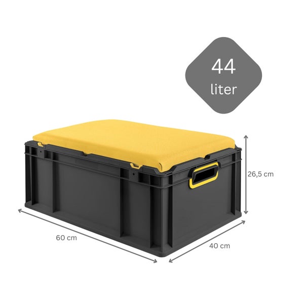 Aufbewahrungsbox mit Kissen, Volumen 44 Liter, Maße 60 x 40 x 26,5 Zentimeter
