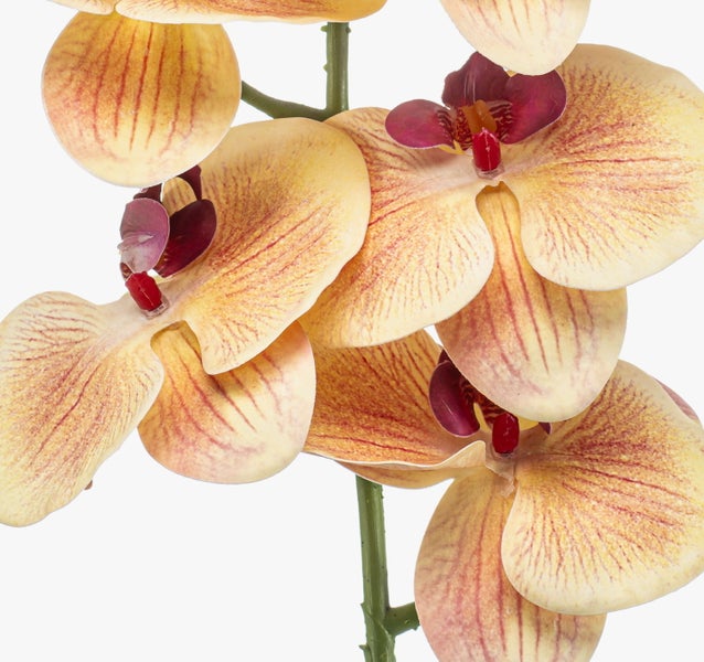 Künstliche Orchidee Phalaenopsis mit gelb-orangen Blüten, roten Adern und grünem Stängel.