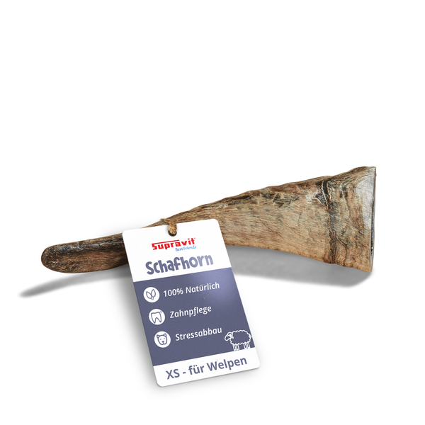 Supravit Schafhorn XS für Welpen, ein natürlicher Kausnack zur Zahnpflege und Stressabbau